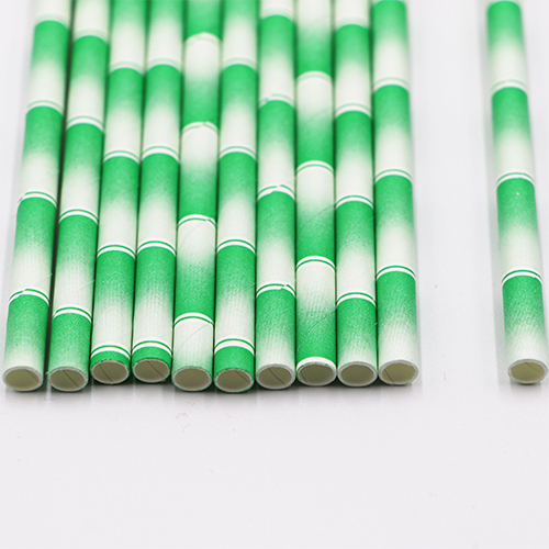 Bamboo Print Paper Straws 5