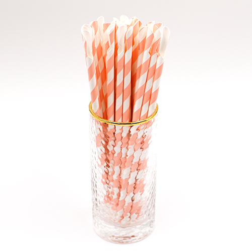 Biodegradable Paper Spoon Straws 1