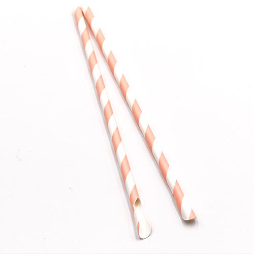 Biodegradable Paper Spoon Straws 2