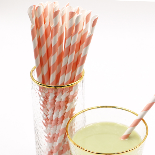 Biodegradable Paper Spoon Straws 3