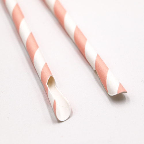 Biodegradable Paper Spoon Straws 7
