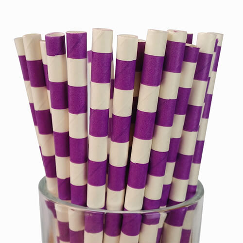 Biodegradable Paper Straws with Bamboo Design - paperstrawtech