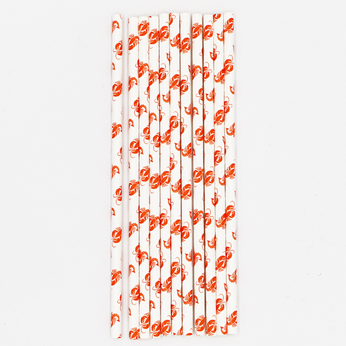 Custom Printing Paper Straws2