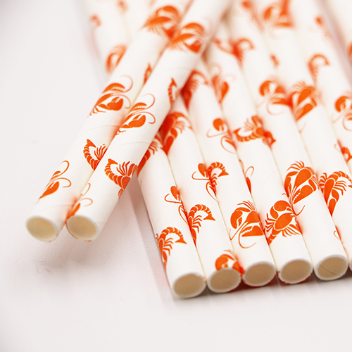 Custom Printing Paper Straws3