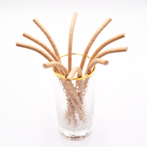 Bendable Paper Straws 8
