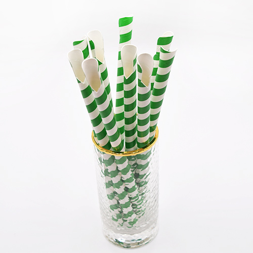 Green Stripe Paper Spoon Straws 2