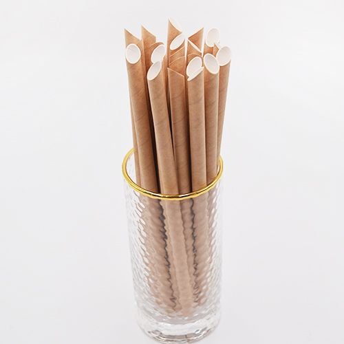 Pointy Paper Straws 6