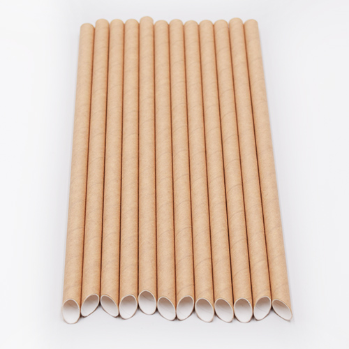 Pointy Paper Straws 7