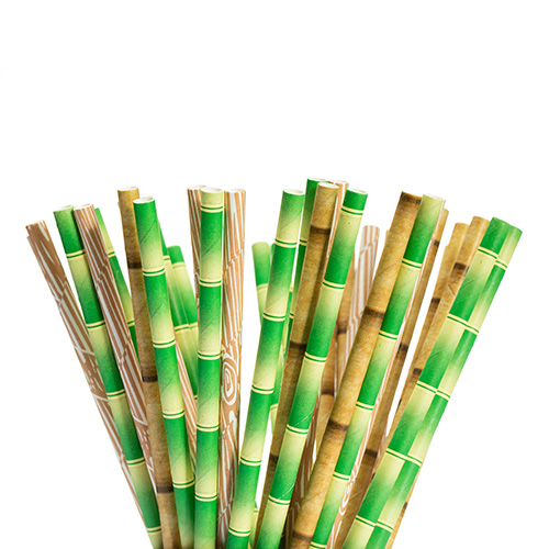 Biodegradable Paper Straw White Drinking Straws - bambooandwood