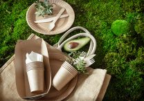 eco friendly stylish disposable convenient beautiful recyclable tableware 1