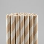 biodegradable paper straws what the claim really means for bulk buyers 1